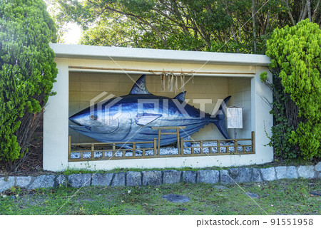 志摩市濱島町的鰹魚對象 91551958