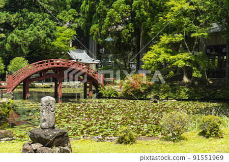 Renma no Ike and Kongo Toji Temple Renma no Ike and Kongo Toji Temple 91551969