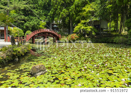 Renma no Ike and Kongo Toji Temple 91551972