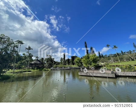 沖繩縣沖繩市東南植物園 沖繩縣沖繩市東南植物園 91552001