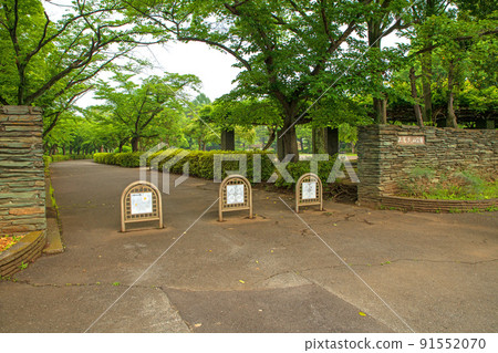 上尾丸山公園南口初夏風景 91552070