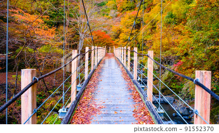 Oyanagawa Gorge (Autumn): Ryumon Bridge Oyanagawa Gorge (Autumn): Ryumon Bridge 91552370