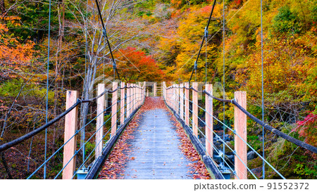 Oyanagawa Gorge (Autumn): Ryumon Bridge Oyanagawa Gorge (Autumn): Ryumon Bridge 91552372