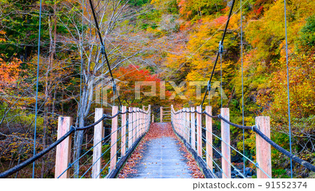 Oyanagawa Gorge (Autumn): Ryumon Bridge Oyanagawa Gorge (Autumn): Ryumon Bridge 91552374