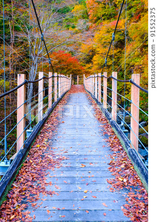 Oyanagawa Gorge (Autumn): Ryumon Bridge Oyanagawa Gorge (Autumn): Ryumon Bridge 91552375