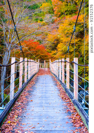 Oyanagawa Gorge (Autumn): Ryumon Bridge Oyanagawa Gorge (Autumn): Ryumon Bridge 91552376