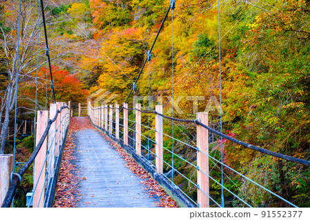 Oyanagawa Gorge (Autumn): Ryumon Bridge Oyanagawa Gorge (Autumn): Ryumon Bridge 91552377