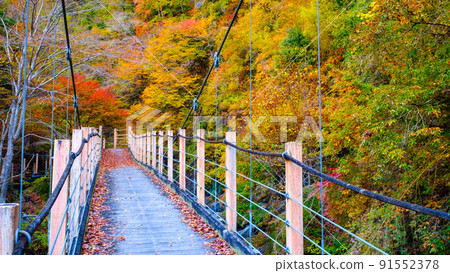 Oyanagawa Gorge (Autumn): Ryumon Bridge Oyanagawa Gorge (Autumn): Ryumon Bridge 91552378