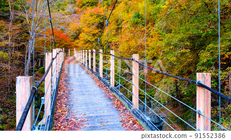 Oyanagawa Gorge (Autumn): Ryumon Bridge Oyanagawa Gorge (Autumn): Ryumon Bridge 91552386