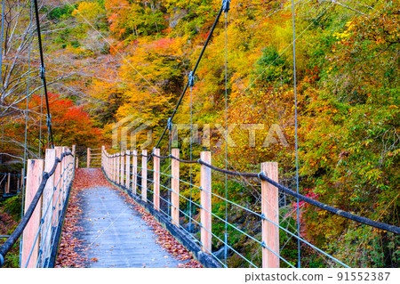 Oyanagawa Gorge (Autumn): Ryumon Bridge Oyanagawa Gorge (Autumn): Ryumon Bridge 91552387