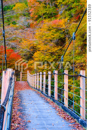 Oyanagawa Gorge (Autumn): Ryumon Bridge Oyanagawa Gorge (Autumn): Ryumon Bridge 91552389