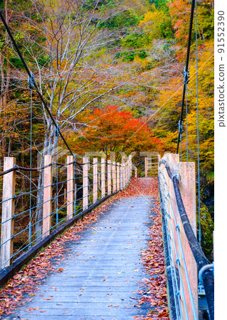 Oyanagawa Gorge (Autumn): Ryumon Bridge Oyanagawa Gorge (Autumn): Ryumon Bridge 91552390