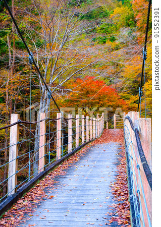 Oyanagawa Gorge (Autumn): Ryumon Bridge Oyanagawa Gorge (Autumn): Ryumon Bridge 91552391