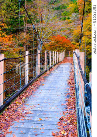 Oyanagawa Gorge (Autumn): Ryumon Bridge Oyanagawa Gorge (Autumn): Ryumon Bridge 91552392