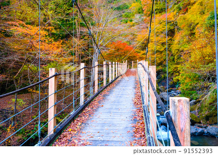 Oyanagawa Gorge (Autumn): Ryumon Bridge Oyanagawa Gorge (Autumn): Ryumon Bridge 91552393