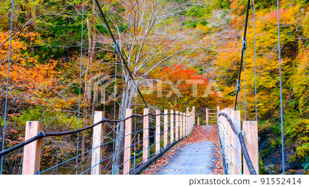 大柳川峽谷（秋季）：龍門橋 91552414