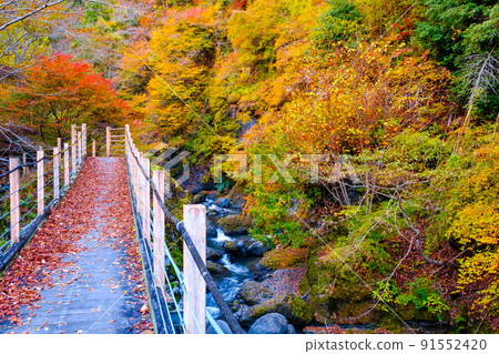 大柳川峽谷(秋季):龍門橋 大柳川峽谷(秋季):龍門橋 91552420