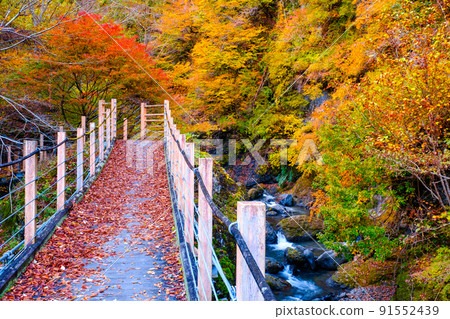 大柳川峽谷(秋季):龍門橋 大柳川峽谷(秋季):龍門橋 91552439