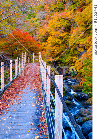 Oyanagawa Gorge (Autumn): Ryumon Bridge Oyanagawa Gorge (Autumn): Ryumon Bridge 91552441