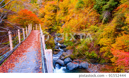 Oyanagawa Gorge (Autumn): Ryumon Bridge Oyanagawa Gorge (Autumn): Ryumon Bridge 91552444
