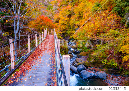 Oyanagawa Gorge (Autumn): Ryumon Bridge Oyanagawa Gorge (Autumn): Ryumon Bridge 91552445