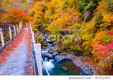 Oyanagawa Gorge (Autumn): Ryumon Bridge Oyanagawa Gorge (Autumn): Ryumon Bridge 91552447