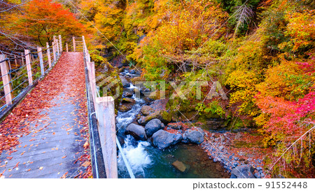 Oyanagawa Gorge (Autumn): Ryumon Bridge Oyanagawa Gorge (Autumn): Ryumon Bridge 91552448