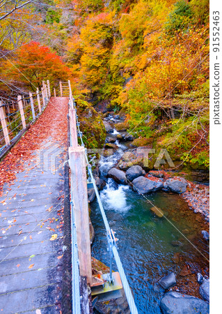 Oyanagawa Gorge (Autumn): Ryumon Bridge Oyanagawa Gorge (Autumn): Ryumon Bridge 91552463