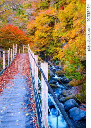 Oyanagawa Gorge (Autumn): Ryumon Bridge Oyanagawa Gorge (Autumn): Ryumon Bridge 91552464