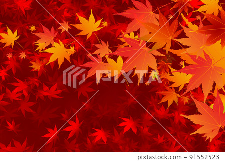  秋葉槭樹秋天背景 91552523