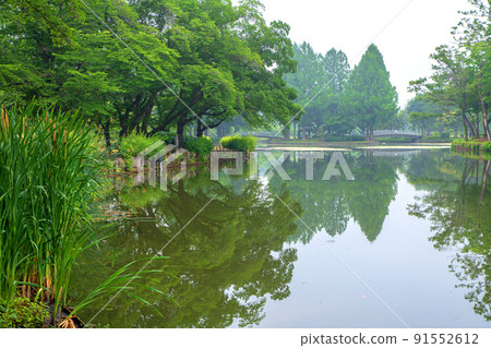 Ageo Maruyama Park Pond Water Mirror Early Summer Scenery 91552612