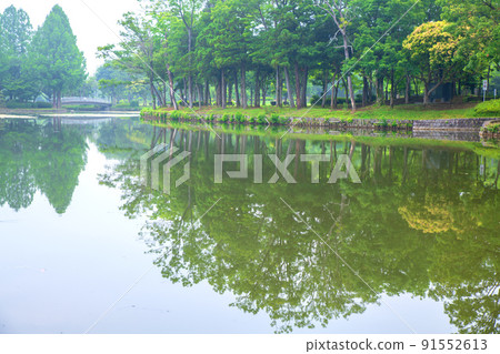 Ageo Maruyama Park Pond Water Mirror Early Summer Scenery 91552613