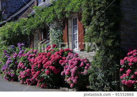 French stone house and hydrangea ... French stone house and hydrangea ... 91552668