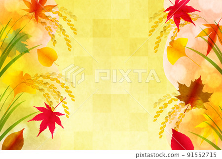 Rice rice leaves background 91552715