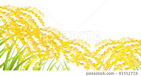 美國米秋天秋天背景 91552719