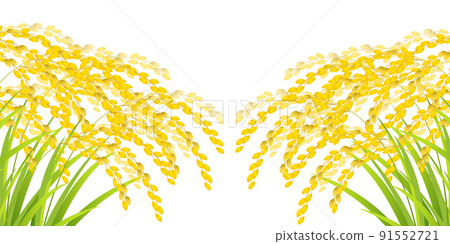 美國米秋天秋天背景 91552721