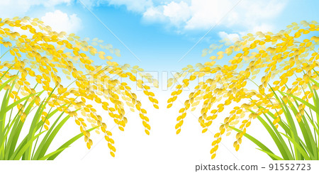 美國米秋天秋天背景 91552723