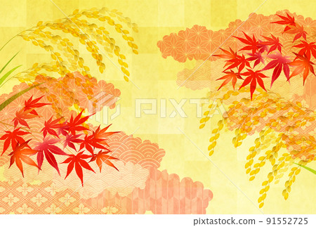 水稻水稻葉背景 91552725