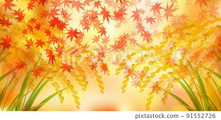 Rice rice leaves background 91552726