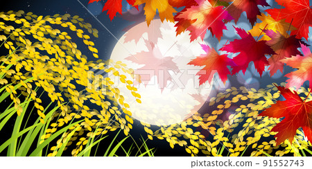 US rice fall fall background US rice fall fall background 91552743