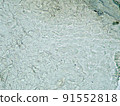 Micrograph of human finger epidermis (400x) 91552818