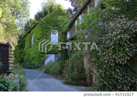 French house covered with fresh green ivy French house covered with fresh green ivy 91552827