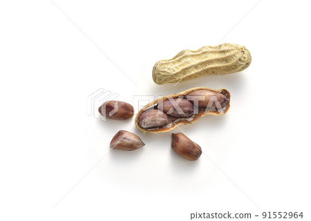 棚拍蒸熟的新鮮花生小吃 91552964