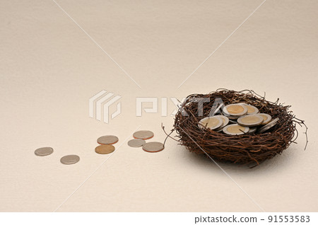 Thai baht or THB, Coins of Thailand in a bird nest on beige background. Thai baht or THB, Coins of Thailand in a bird nest on beige background. 91553583