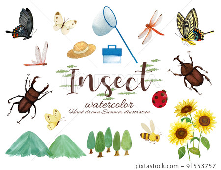 Watercolor illustration set for collecting insects during summer vacation 91553757
