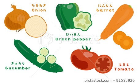 Vegetable cut illustration set 91553926