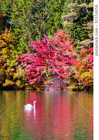 Lake Inaga (Autumn) 91554056