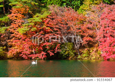 Lake Inaga (Autumn) Lake Inaga (Autumn) 91554067
