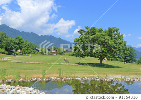 夏天安曇野千尋公園 夏天安曇野千尋公園 91554310