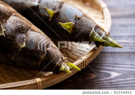 bambooshoot  91554451